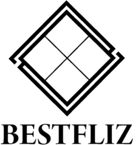 Logo firmy BESTFLIZ